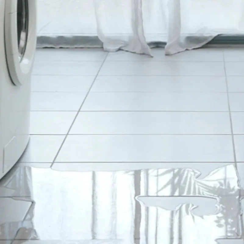 Appliance Leak Cleanup in Palm Bay, FL