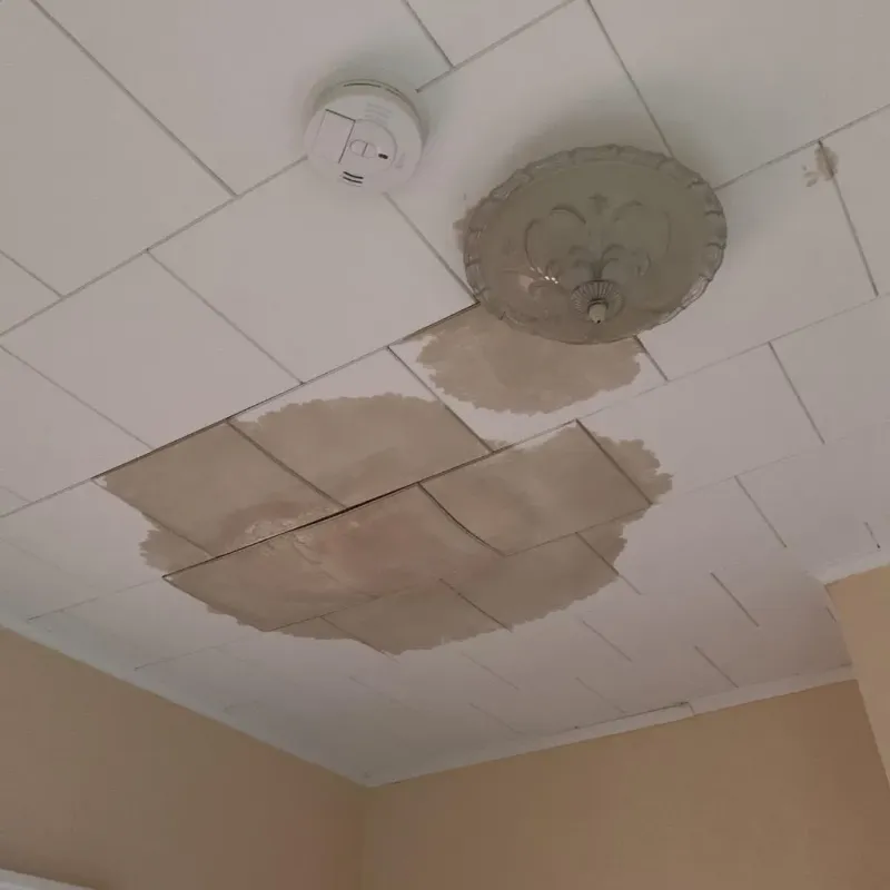 Ceiling Water Damage Repair in Palm Bay, FL